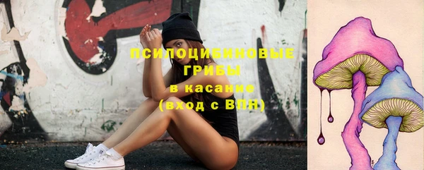 эйфоретик Алзамай