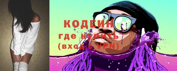 индика Горно-Алтайск