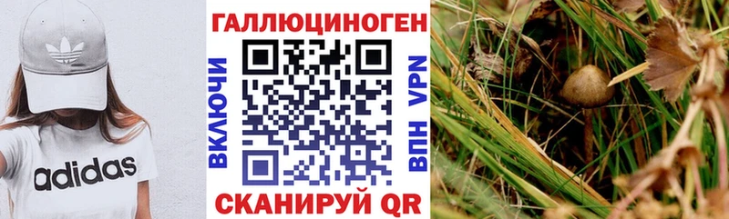 нарко площадка официальный сайт Крым Псилоцибиновые грибы ЛСД