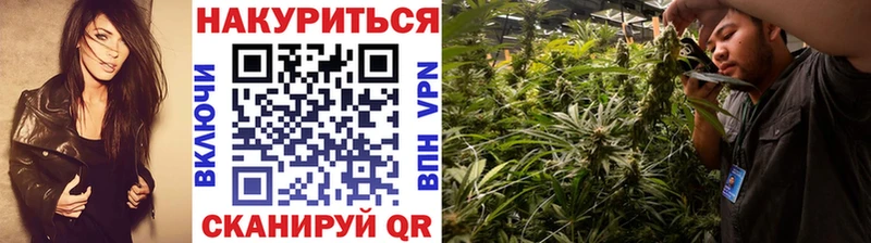 купить  цена  Крым  Шишки марихуана индика 